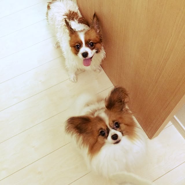 marooooonさんの実例写真