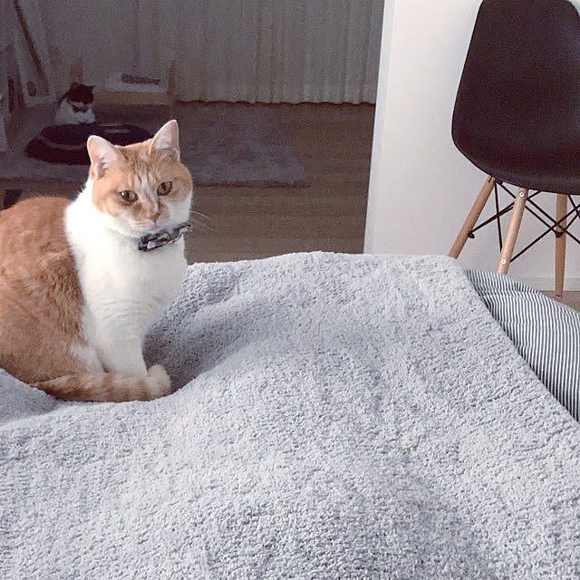 Yさんの実例写真