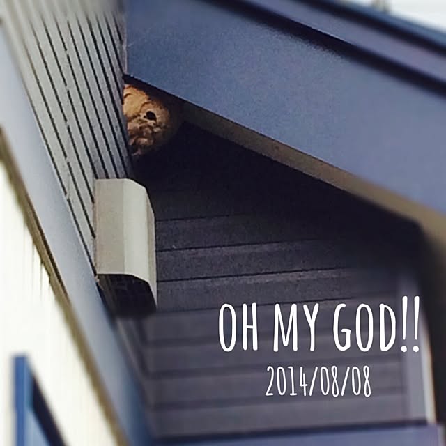 mami.さんの実例写真