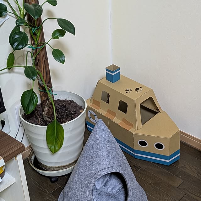 asaさんの部屋