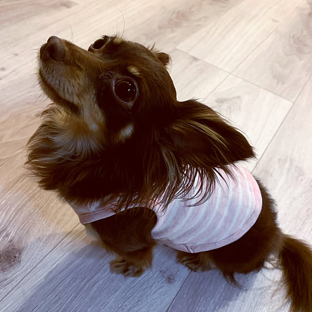 cocoさんの実例写真