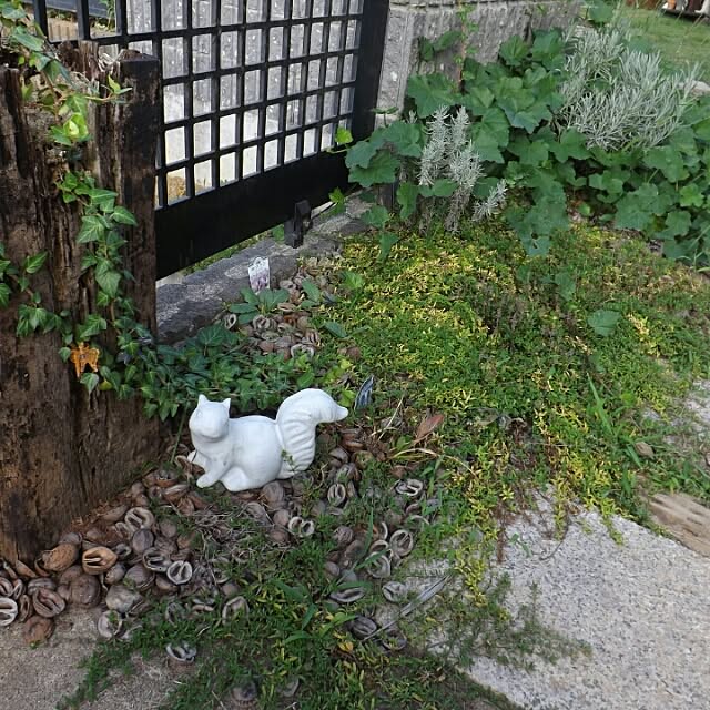 aiuekkoさんの実例写真