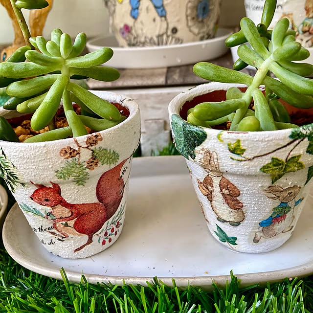 YuuKoさんの実例写真