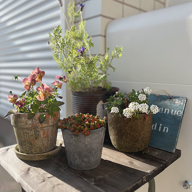 rookuさんの部屋