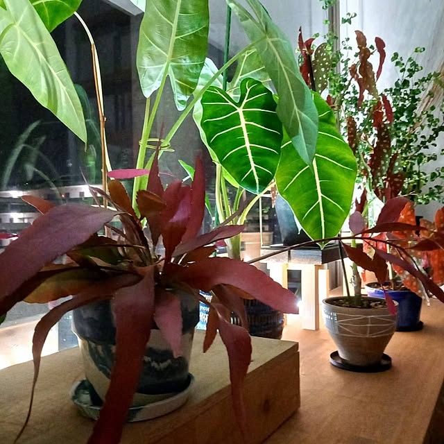 Rさんの部屋