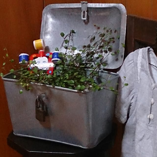 玄関/入り口/観葉植物/雑貨/100均のインテリア実例 - 2015-04-09 19:31:35