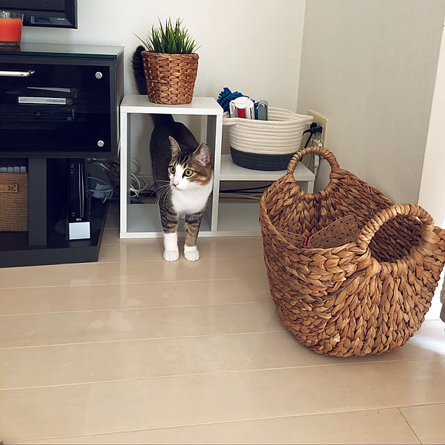 nekomiさんの実例写真