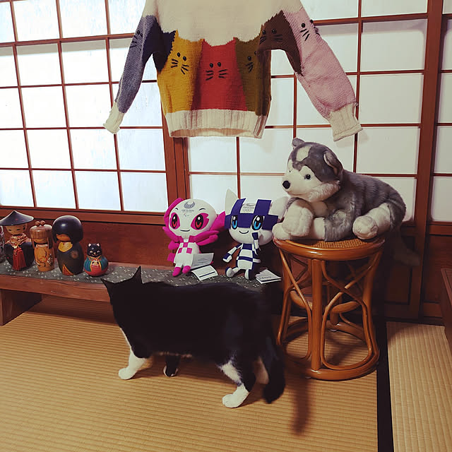 SUZUANさんの実例写真