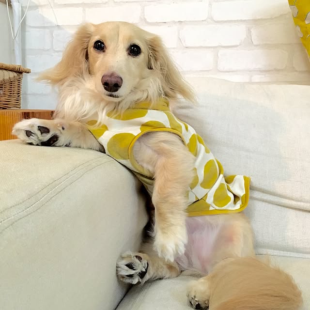 Erinさんの実例写真