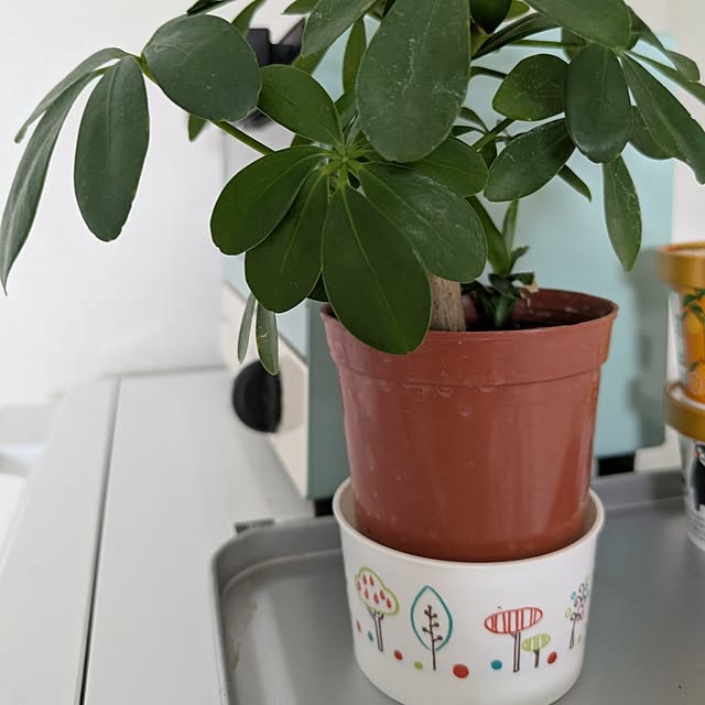 minnieさんの部屋