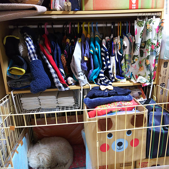 yumirinさんの実例写真