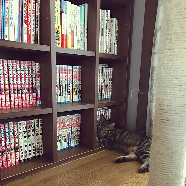 hacchiさんの実例写真
