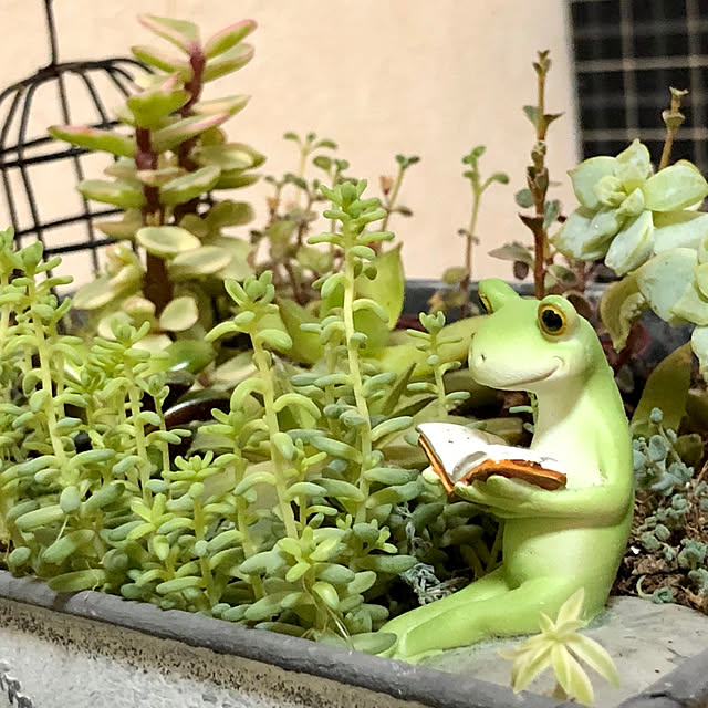 mmpoohさんの実例写真