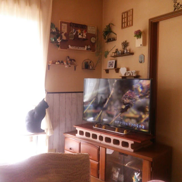 Tomopさんの実例写真
