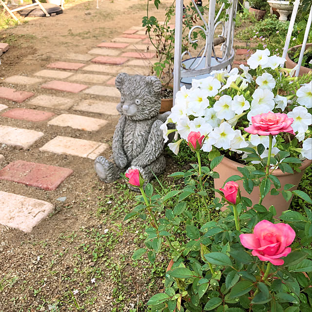 ponさんの実例写真