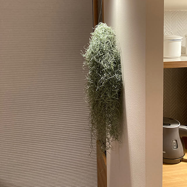 thhk1112さんの部屋
