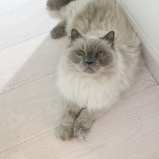 yuchiさんの実例写真