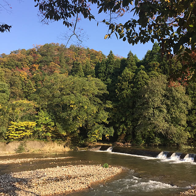 実例写真