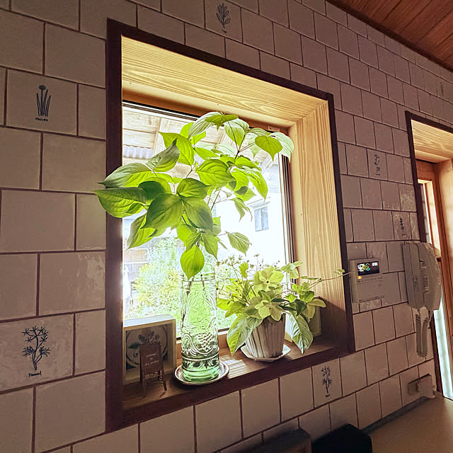 cotaさんの部屋