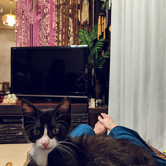 anago106さんの実例写真