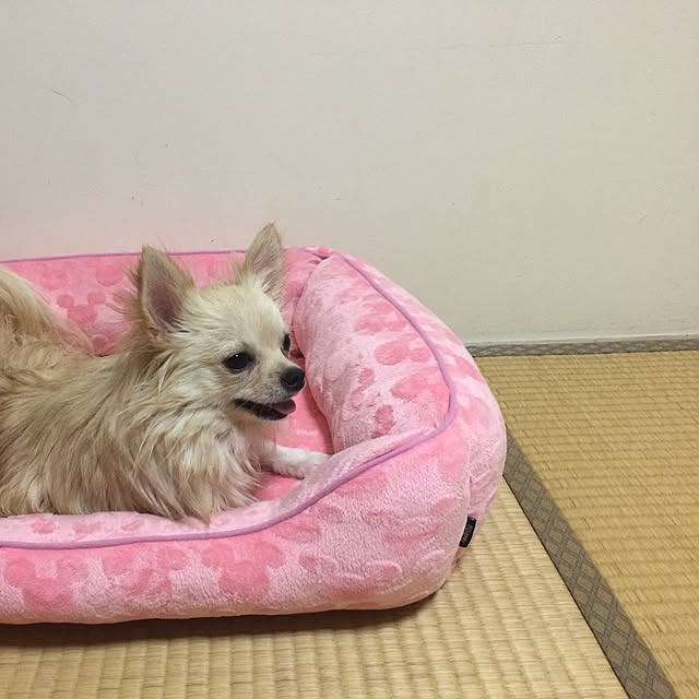 marigonさんの実例写真