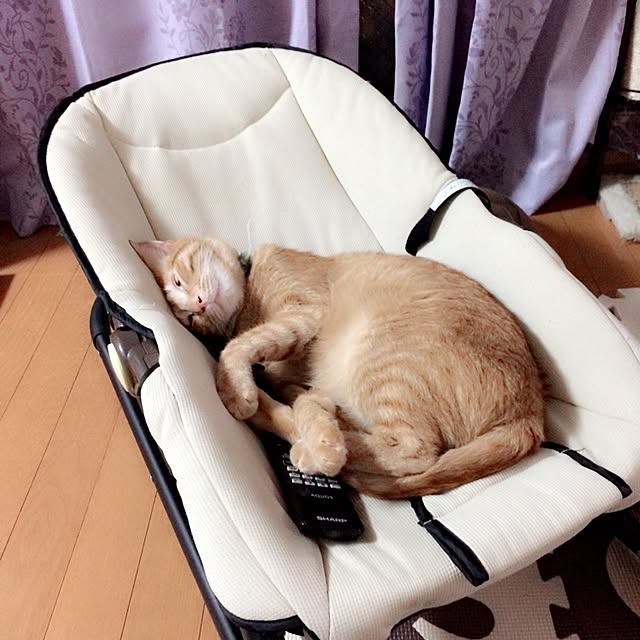 jdannabcさんの実例写真