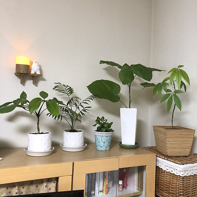 mocoさんの実例写真