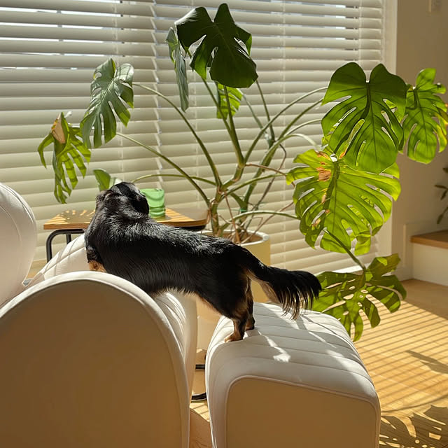 nashie7474さんの部屋