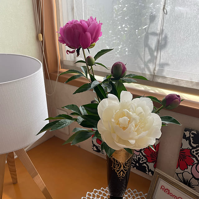 kuikoさんの部屋