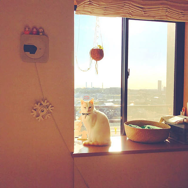 berripmz03さんの実例写真