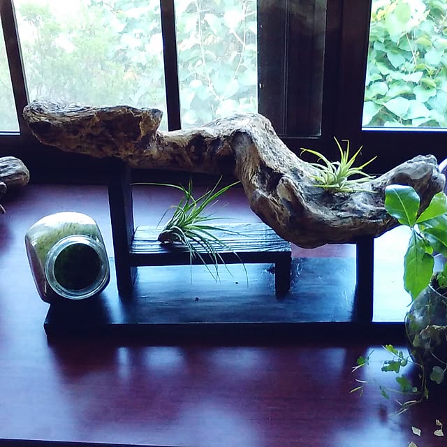 nekoandouさんの実例写真