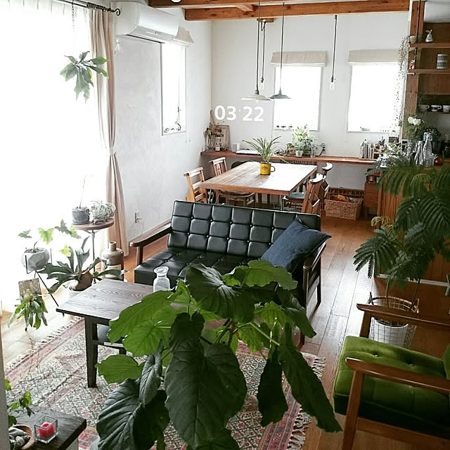 bibi.karuさんの実例写真