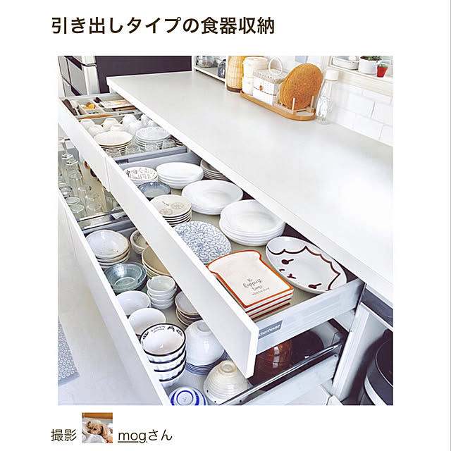 mogさんの実例写真