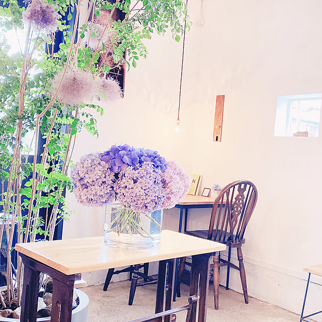 privateroomさんの部屋