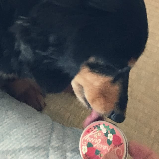 ohanaさんの実例写真