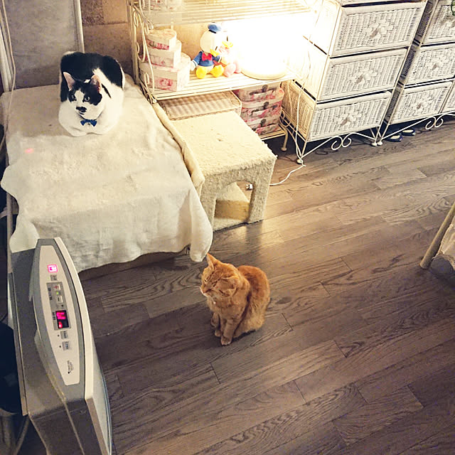 asuminさんの実例写真