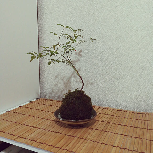 24eさんの実例写真