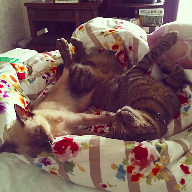 kayakoさんの実例写真