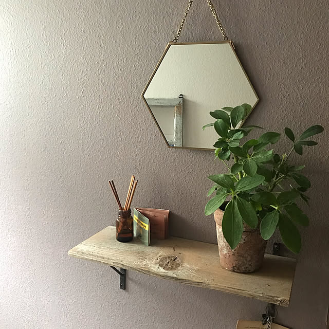 観葉植物/カフェ風/アンティーク/DIY/ハンドメイド...などのインテリア実例 - 2020-05-11 18:57:26