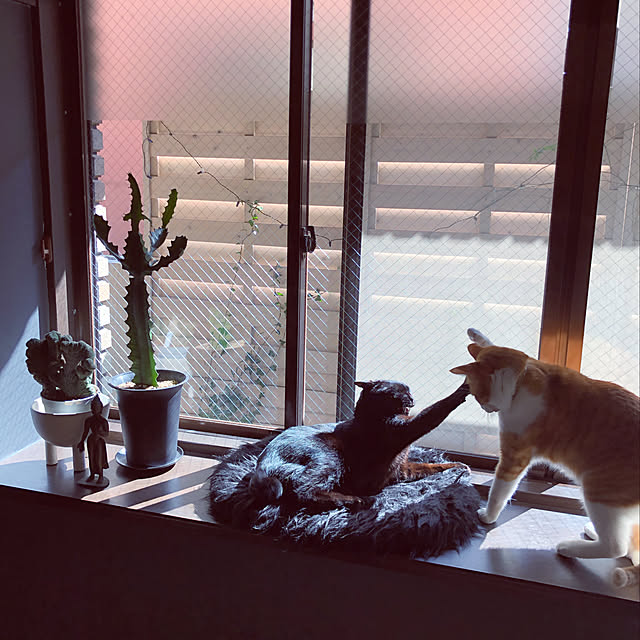lalaさんの実例写真