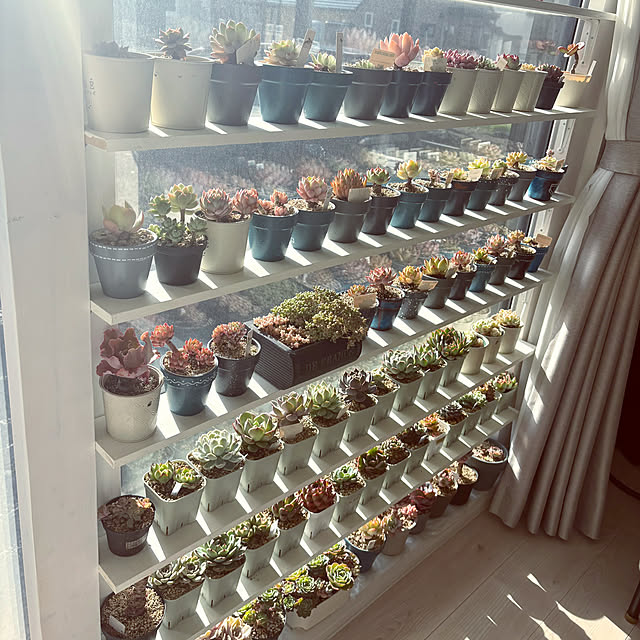 ya1105aさんの部屋