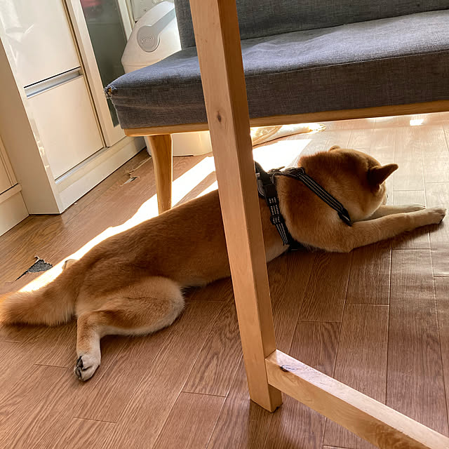 luckyさんの実例写真