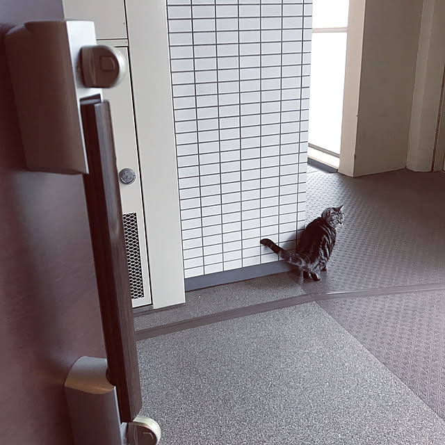 hiyupan88さんの実例写真