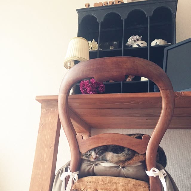 saqura_apartment101さんの実例写真