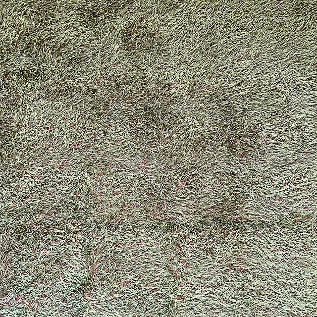 chouryuさんの部屋