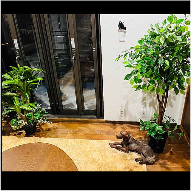 masaさんの実例写真