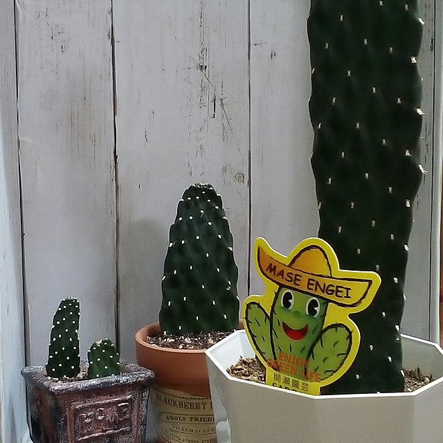mariagardenさんの実例写真