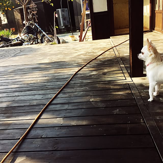 g13さんの実例写真