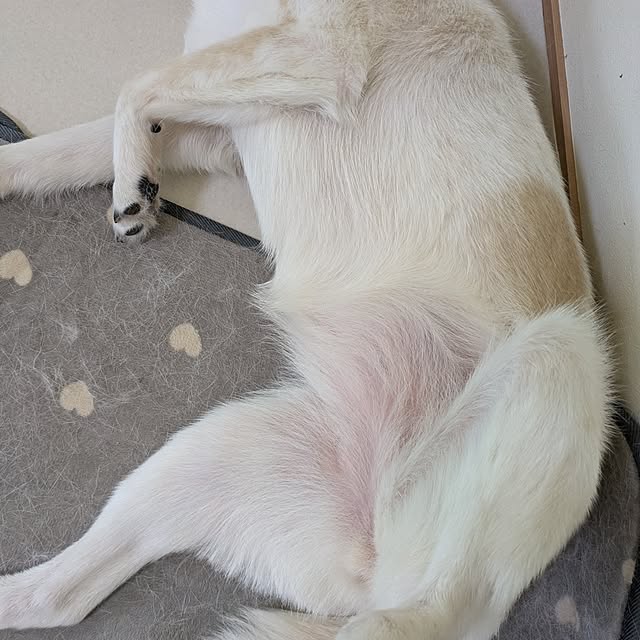 asaさんの部屋