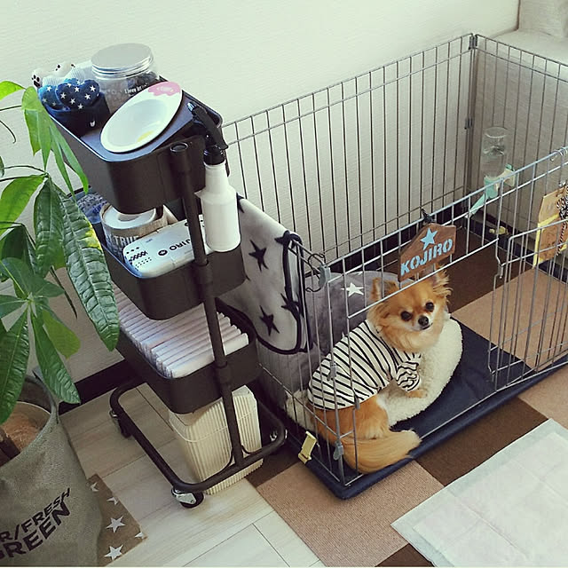 kojikojiさんの実例写真